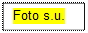 Textfeld: Foto s.u.
